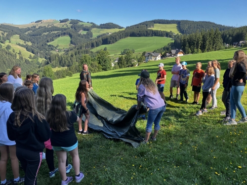 Die PeerMediation startet durch