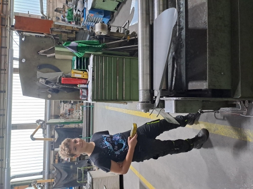 Berufspraktische Tage 