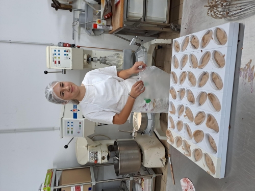 Berufspraktische Tage 